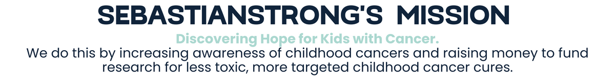 Our Mission - Qgiv P2P Headings (1200 × 150 px) (2).png